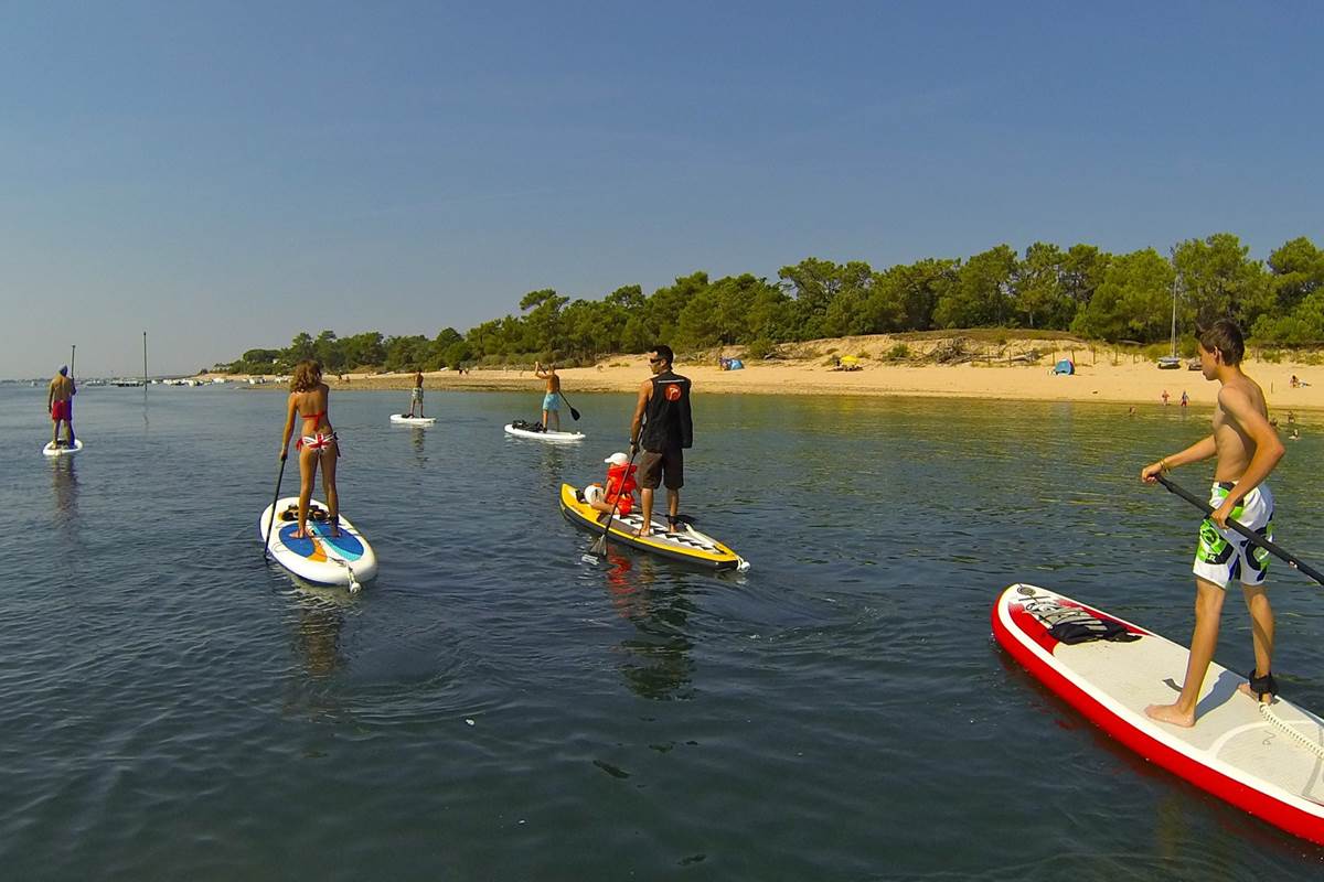 Paddle