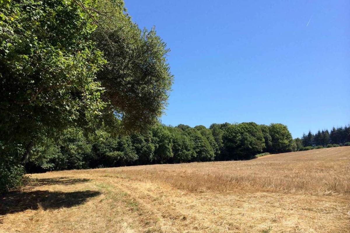Sentier des Demoiselles