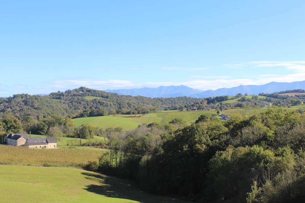 12 Haut-Béarn handiski