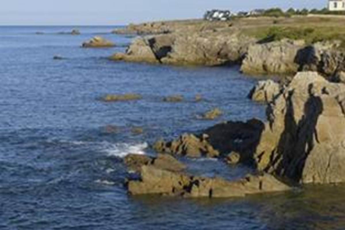 La côte sauvage