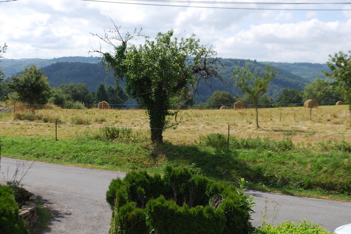 saison des foins, paysage campagnard, vue devant Le Ranch des Lacs