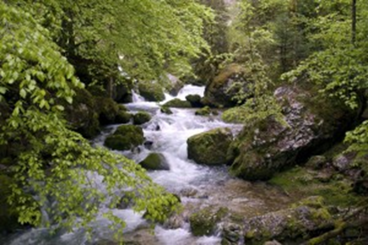 RIVIERES ET CASCADES