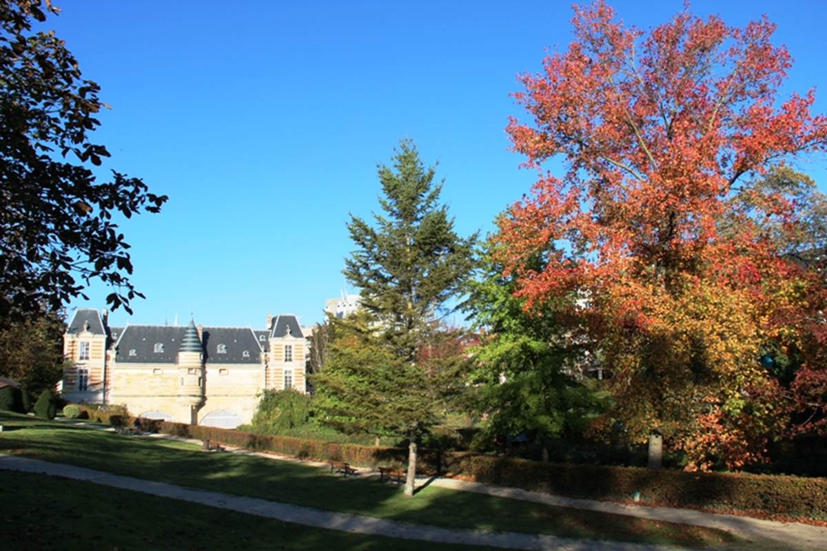 petit-jard-chalons-champagne-chateau-marche-automne