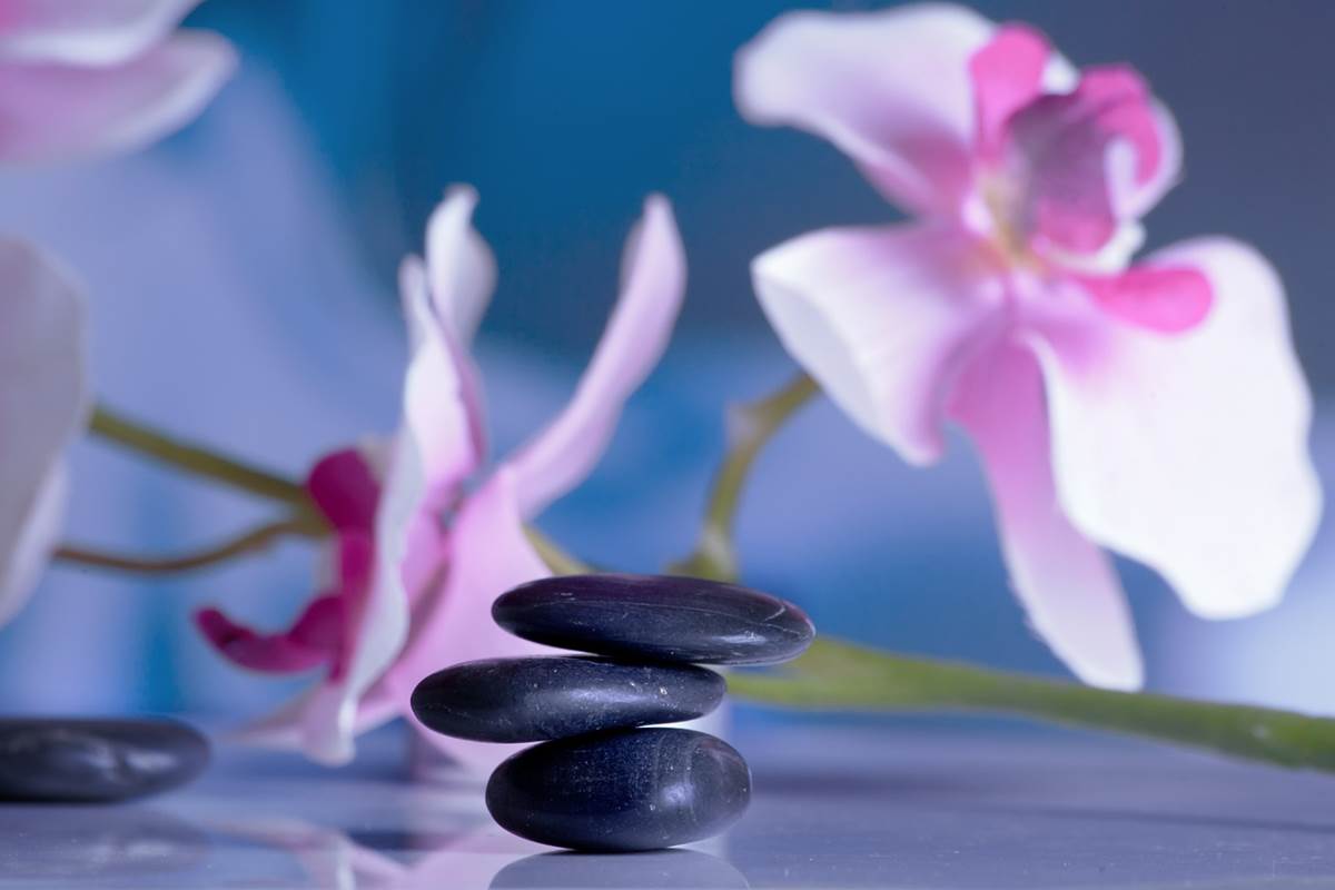 Zen hatitude