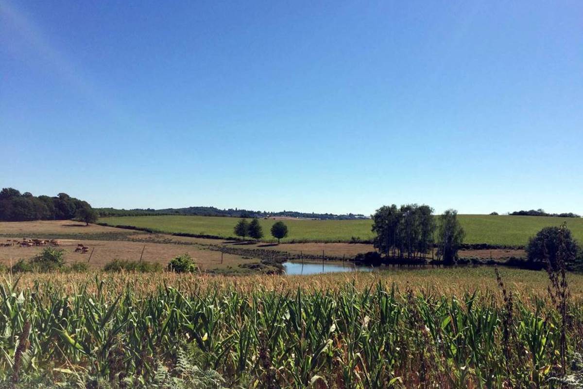 Sentier des Demoiselles