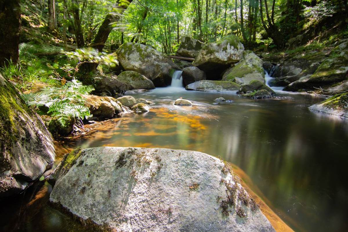 Ruisseau du Cayla - Lot