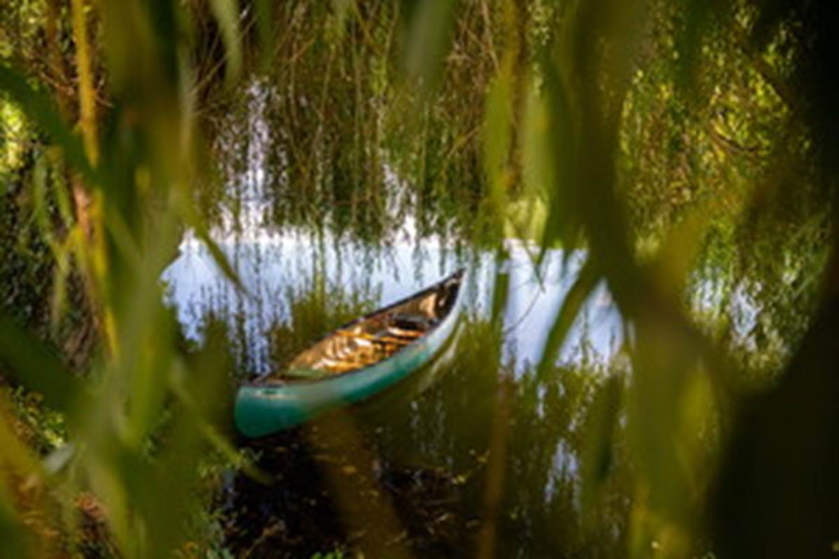 Canoé sous un saule pleureur à Cajarc