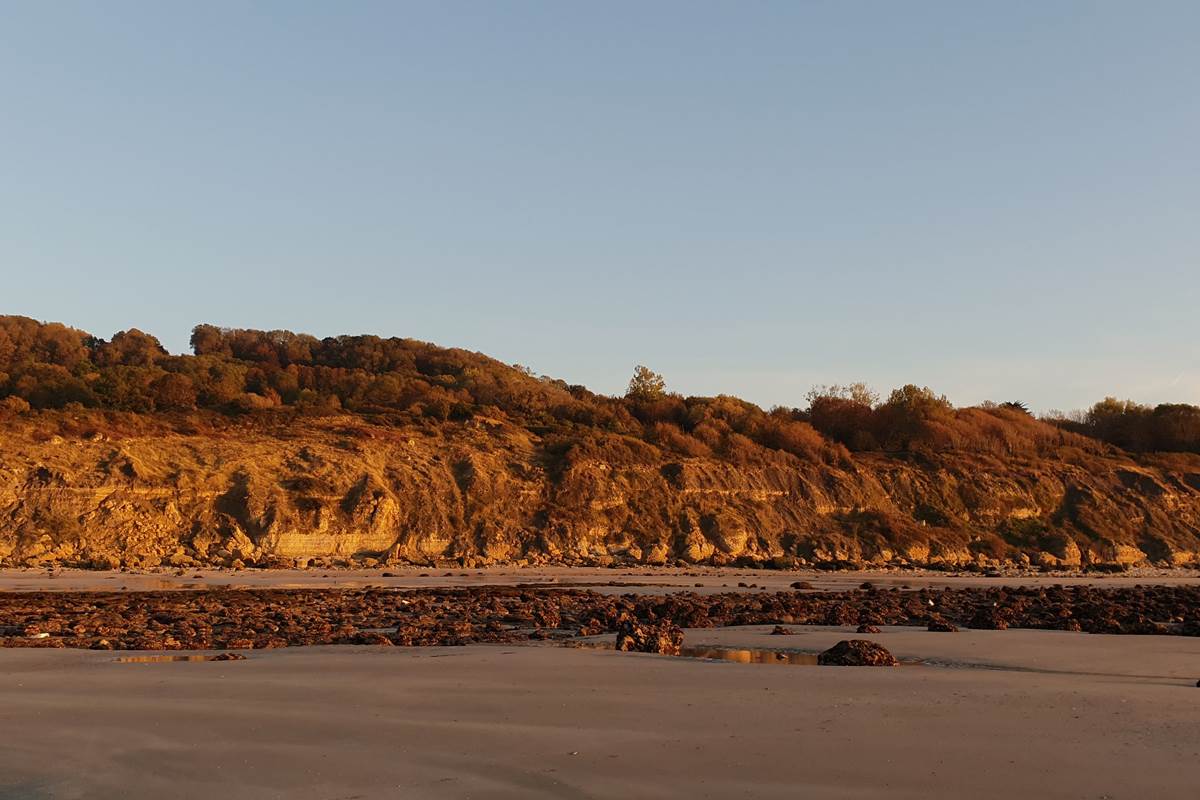 Falaises des Roches Noires - Basse mer