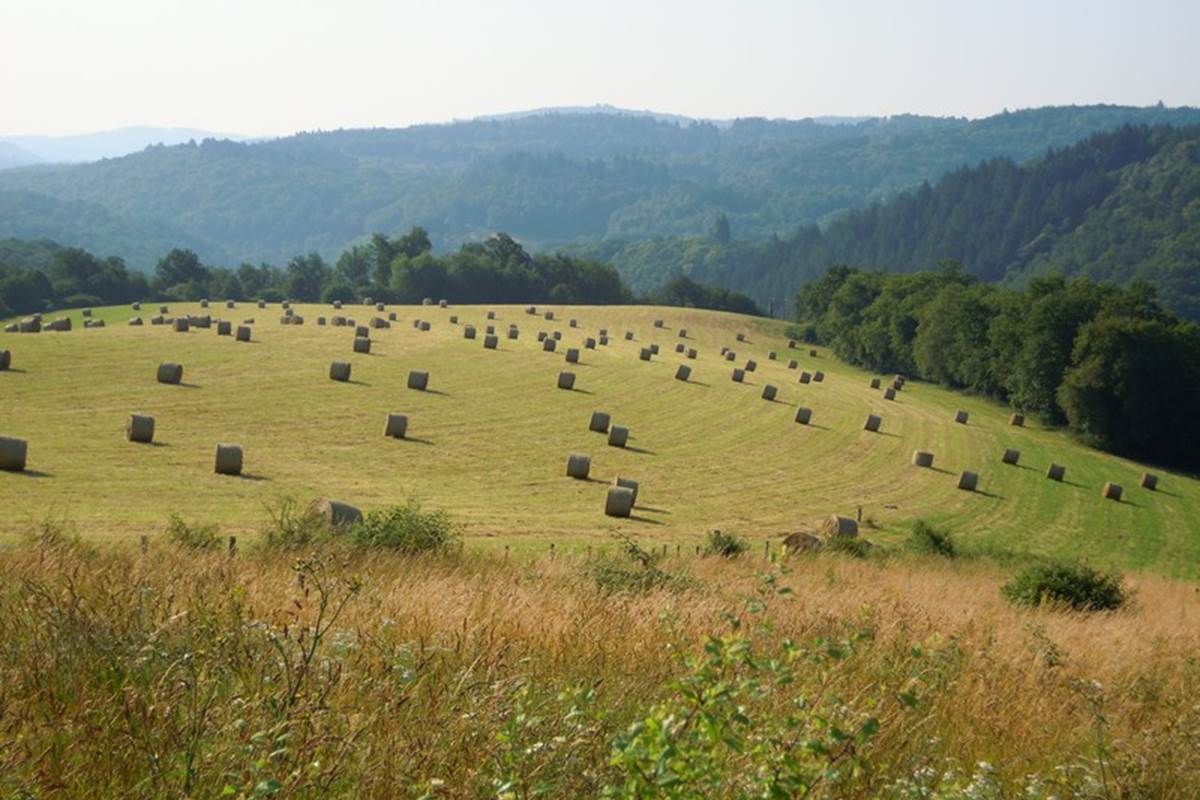 notre belle campagne, vue devant le Ranch des Lacs en été
