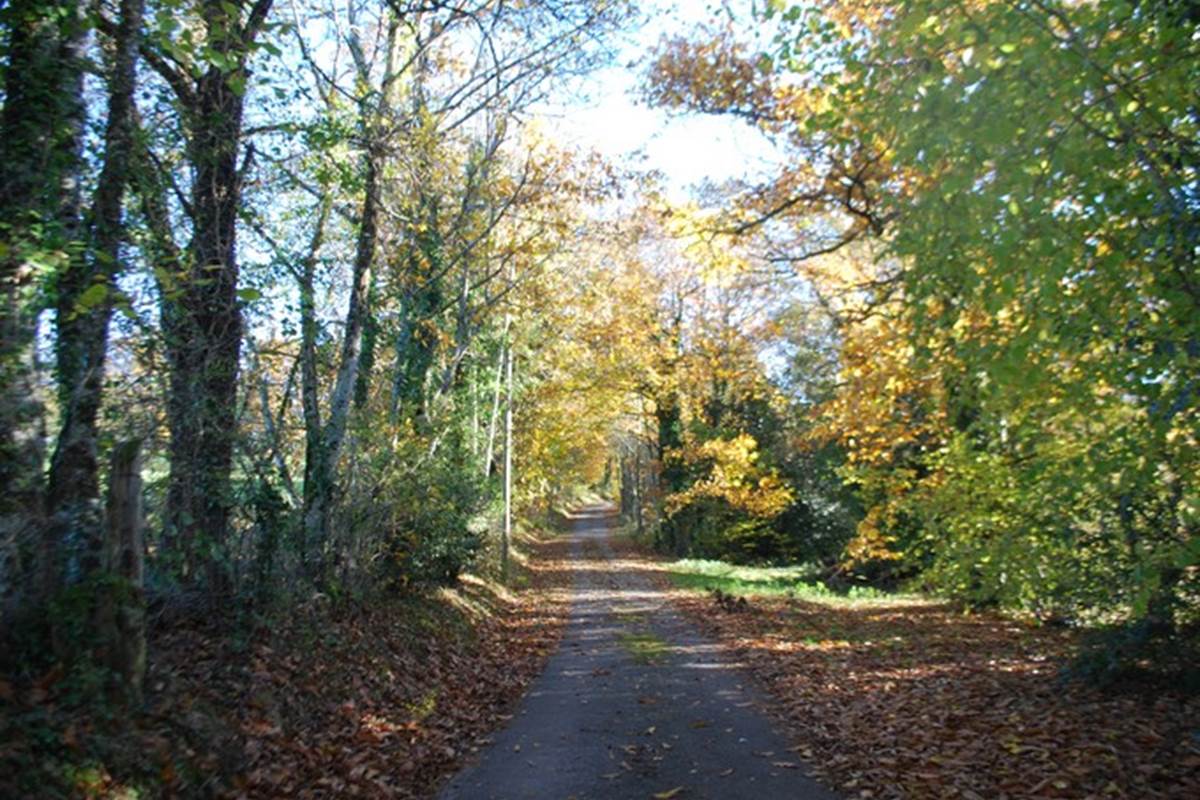 balade en novembre au départ du Ranch des Lacs Hotel à la campagne