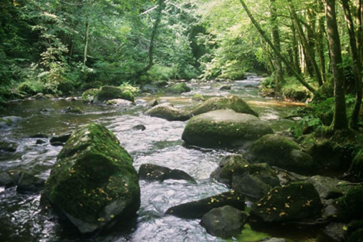 la ruisseau la Jaurie