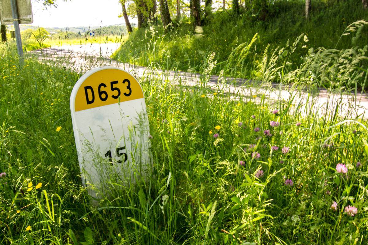 Borne D653 - Lot