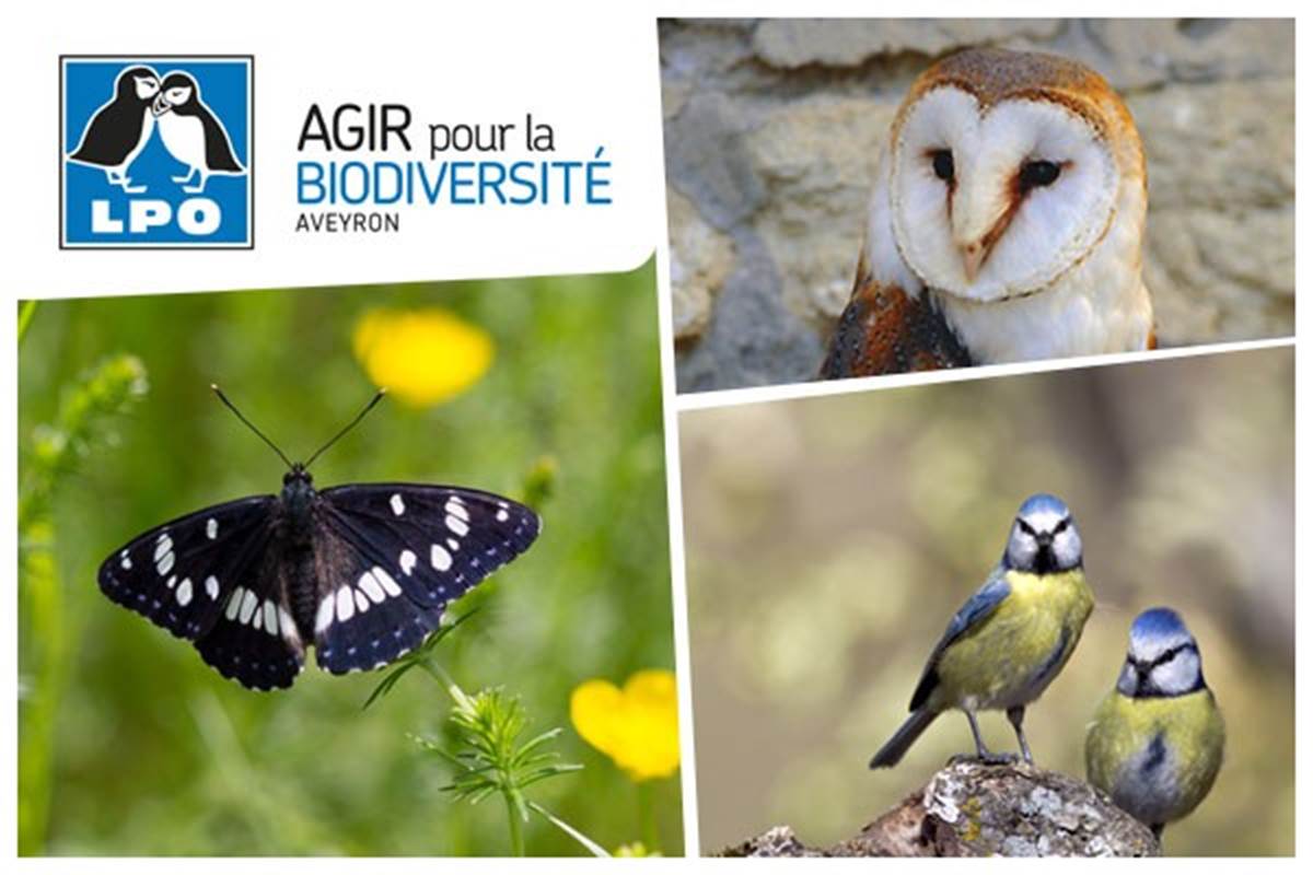 La Réserve Naturelle D'Oiseaux