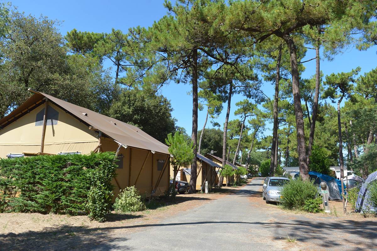 Camping Les Pins - Ile d'Oléron
