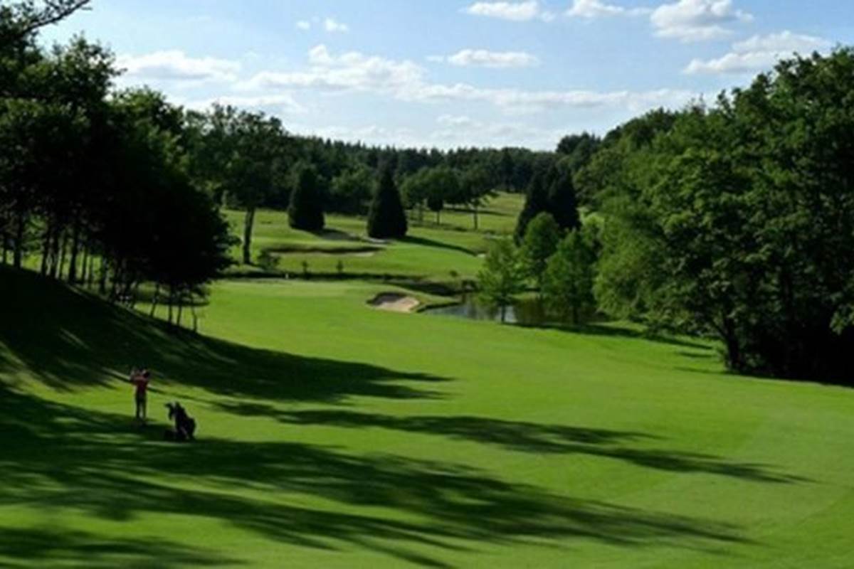 golf, practice, limousin, maison d'hôtes, table d'hôtes, le jardin des lys