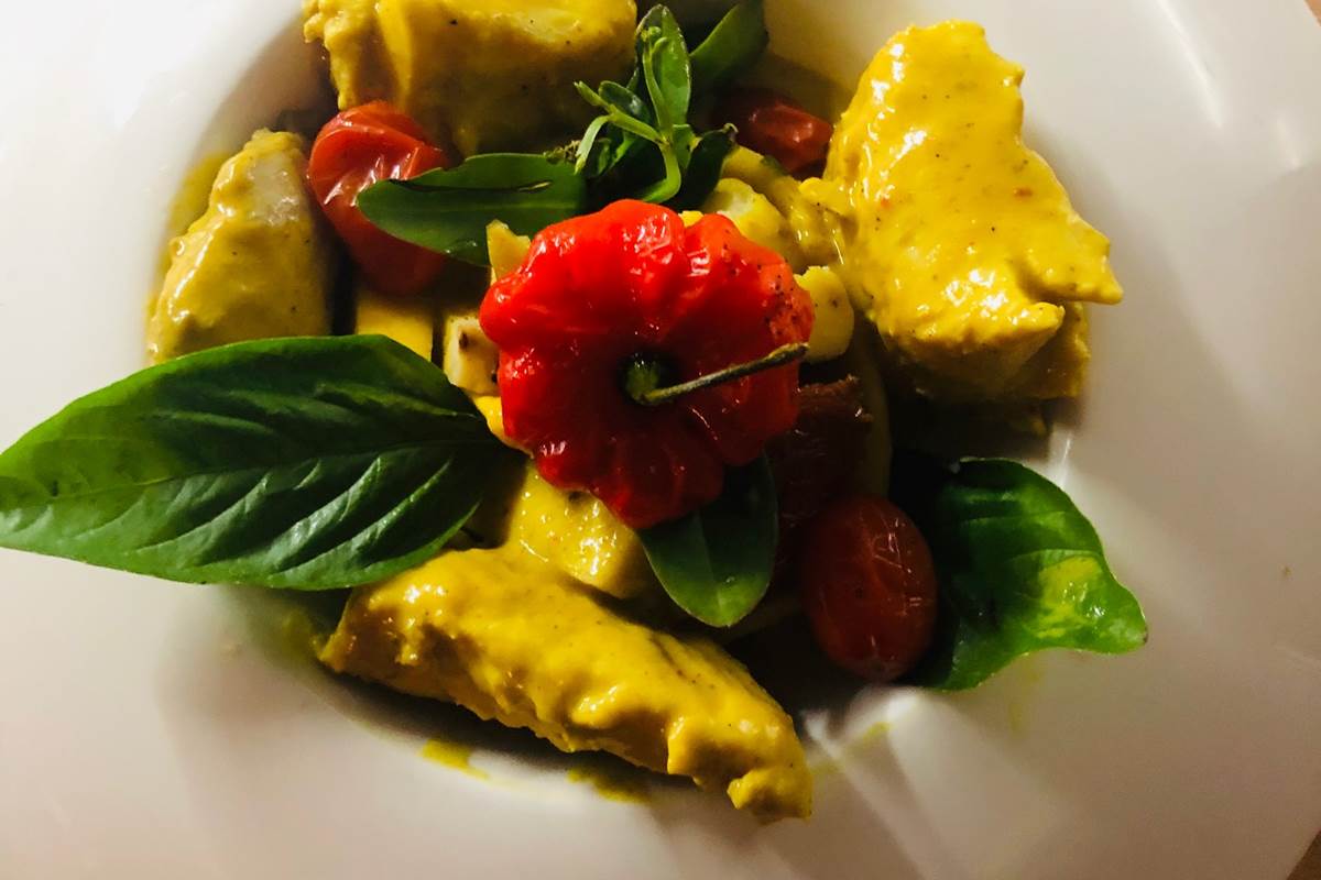 CURRY VERT retour de peche