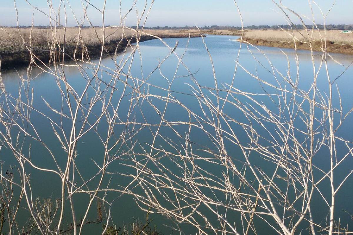 Marais salants en décembre