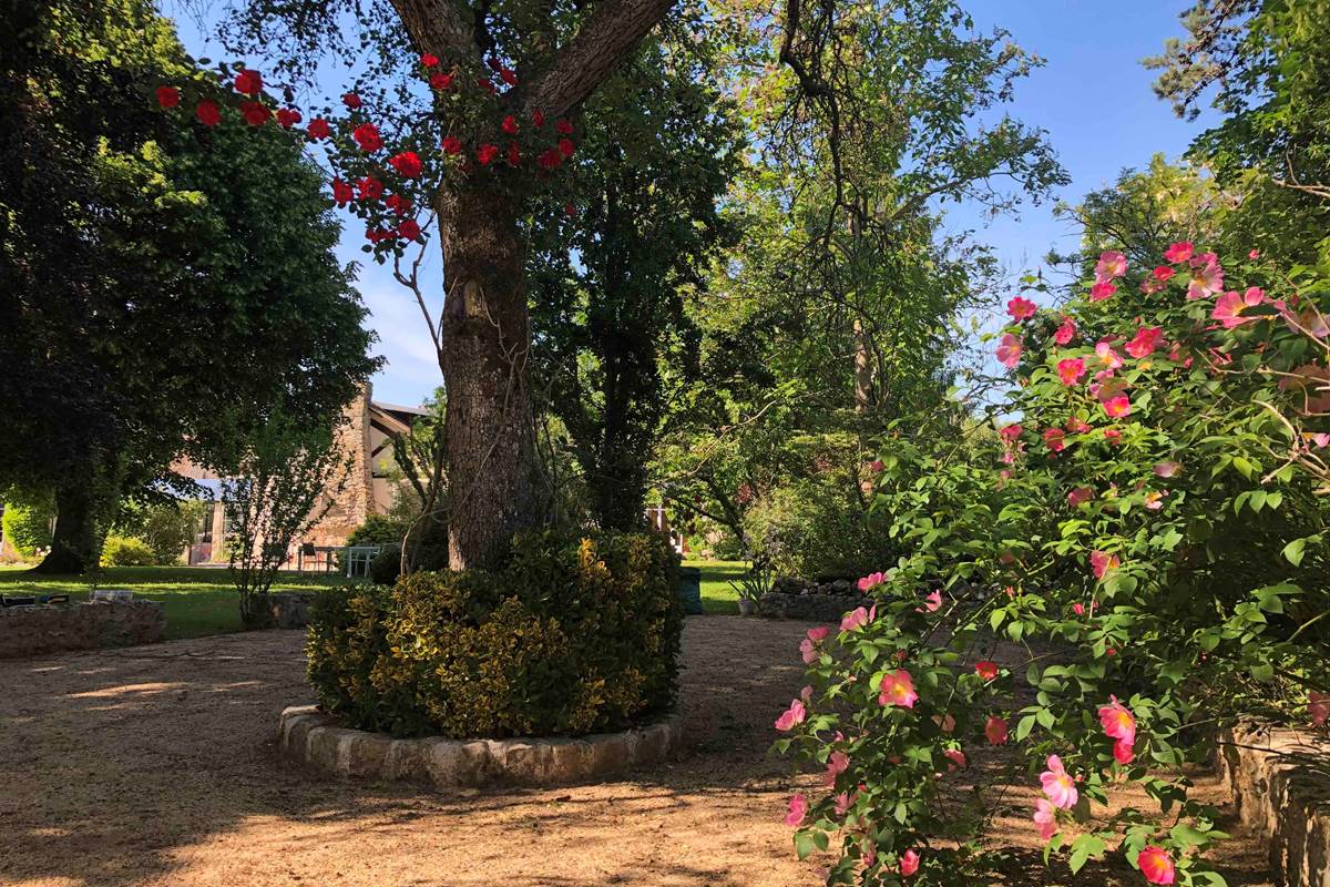 Le Clos Saint Lubin - Le terrain de boules