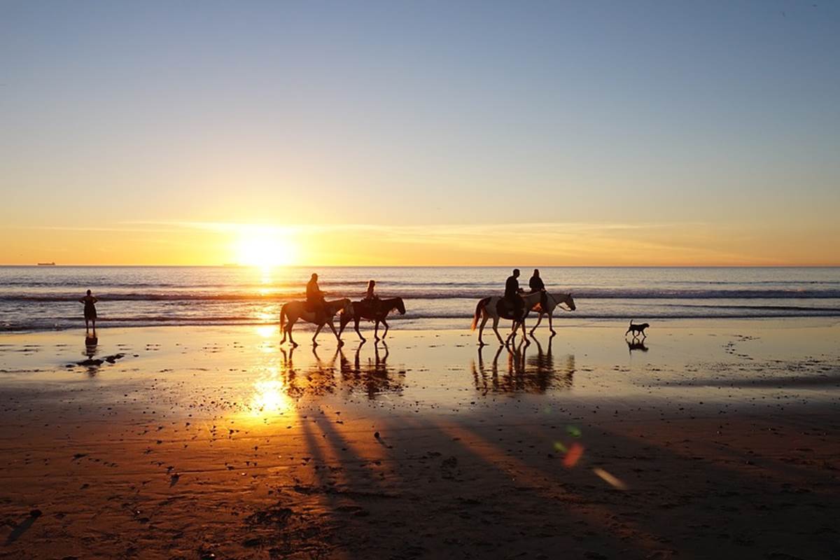 Ballade à cheval sur la plage