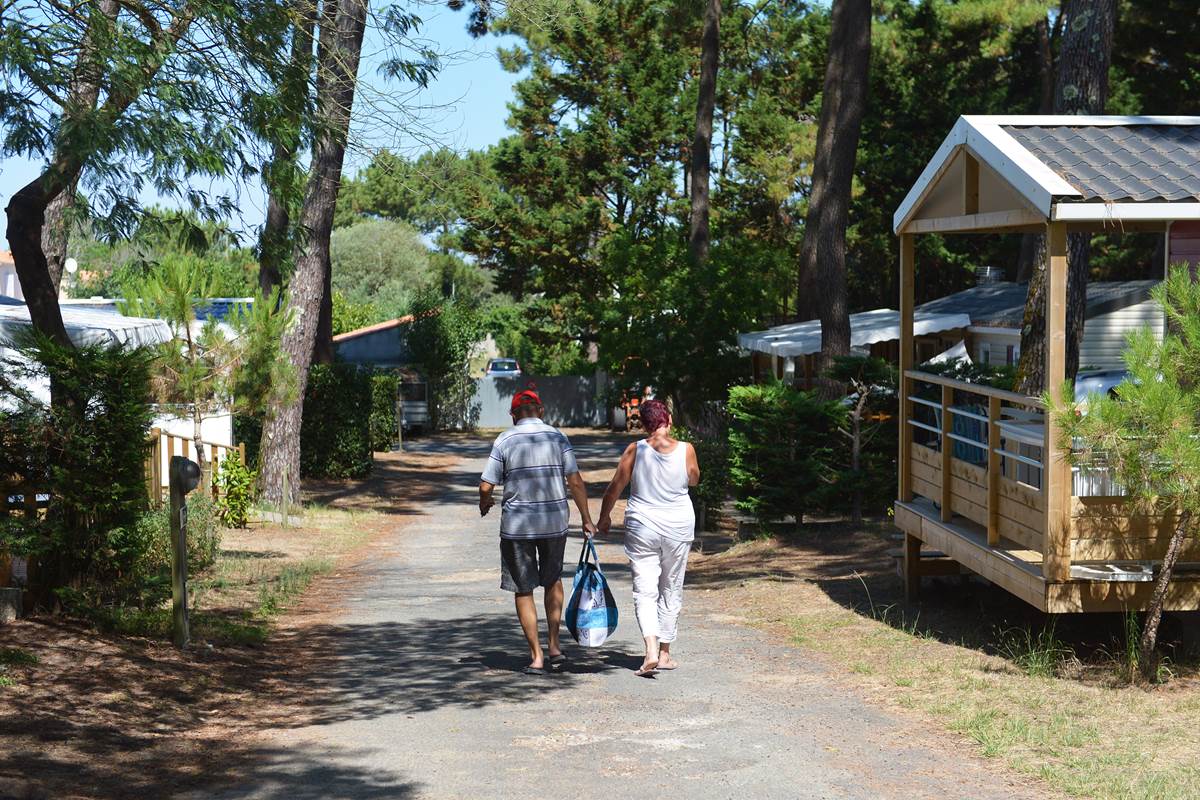 Allées du camping - Camping Les Pins d'Oléron