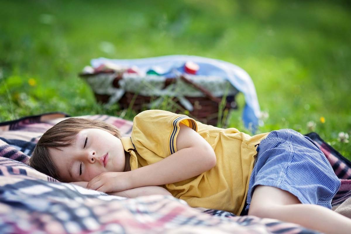 asinerie-badjane-dejeuner-sur-l-herbe-sieste-de-mademoiselle