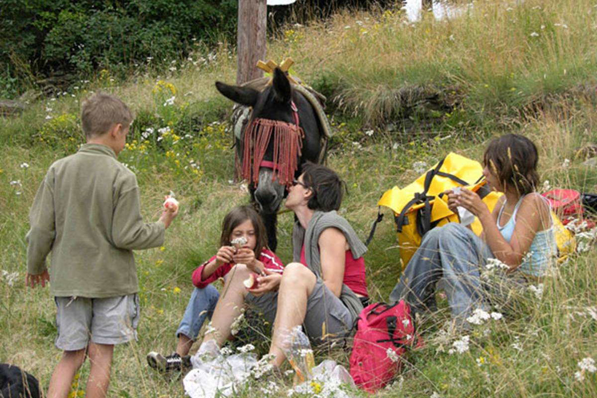 asinerie-badjane-dejeuner-sur-l-herbe-pause-repas