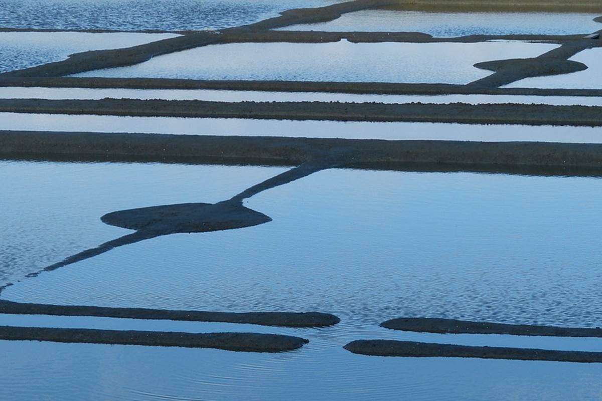 Les marais salants