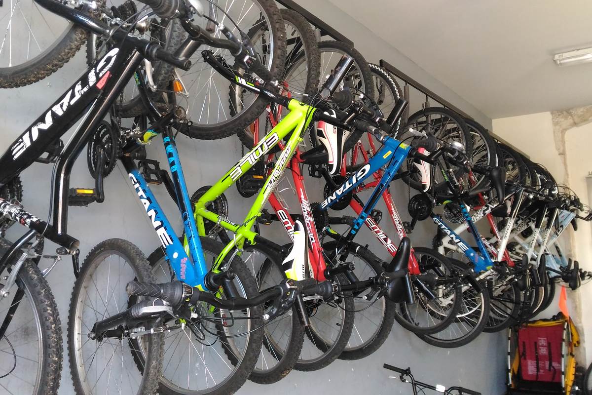 collection velos