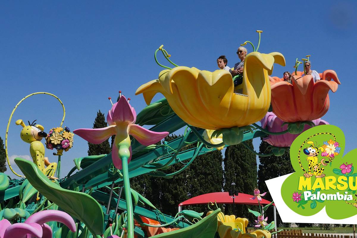 Familial_Marsu-Palombia-1