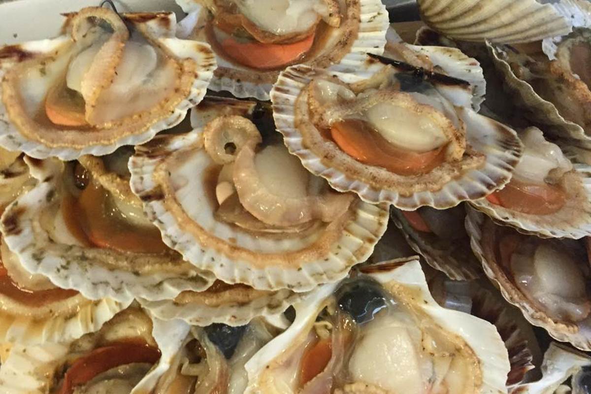 Les noix de St Jacques