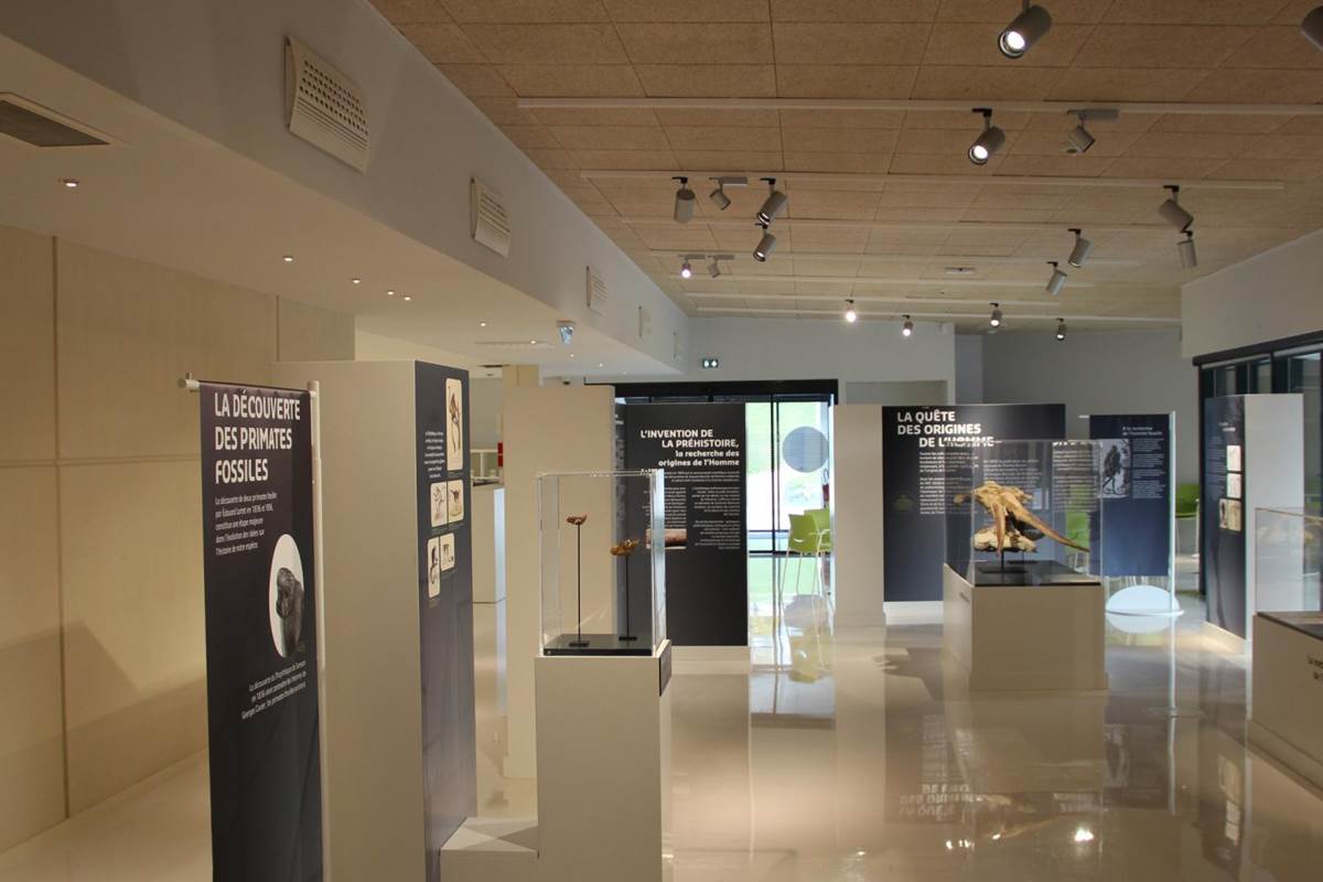 ©Musée de l'Aurignacien, Aurignac