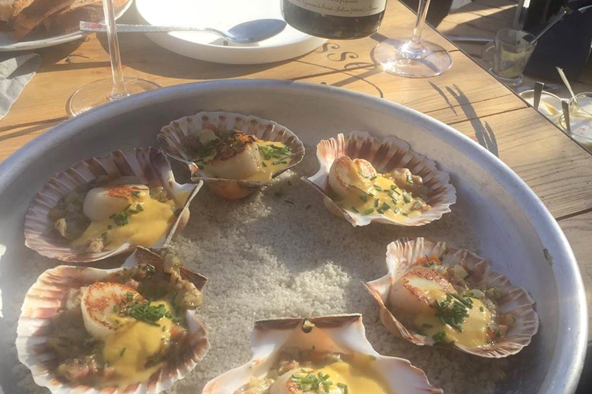 Coquilles St Jacques
