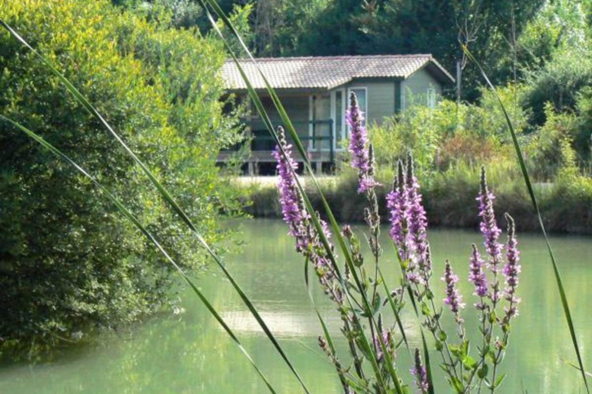 chalet autour de l'étang