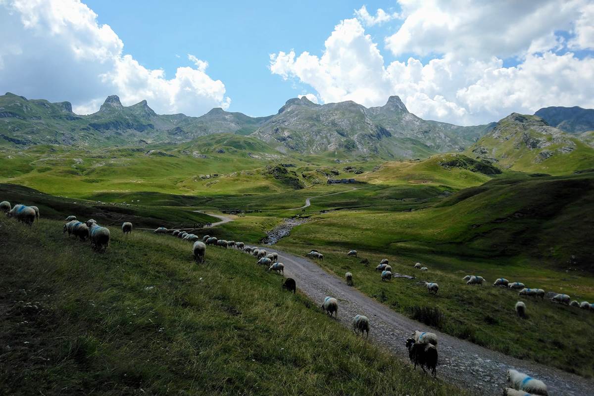 Vallée de Barétous France accueil chevaux accueil cavaliers