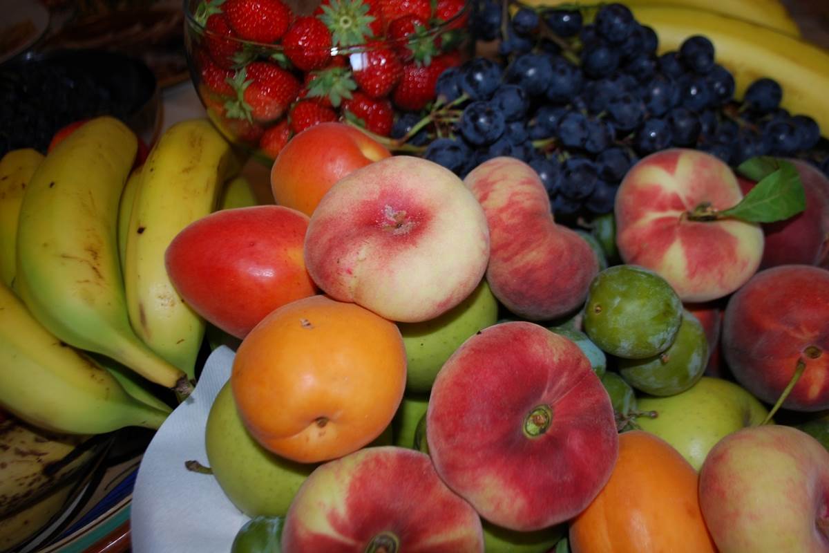 fruits de saison au petit déjeuner gourmandbrunch du Ranch des Lacs Hôtel 87120