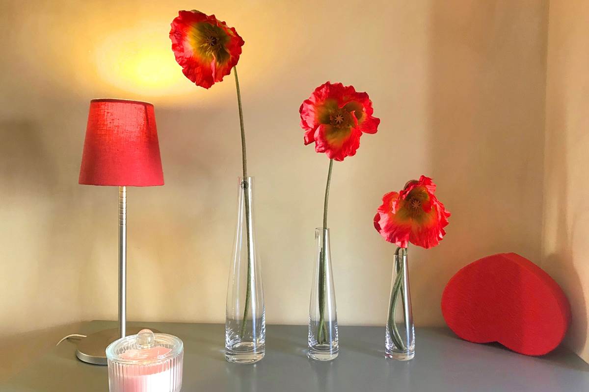 Chambre d'hôtes Coquelicots à Côté Granges