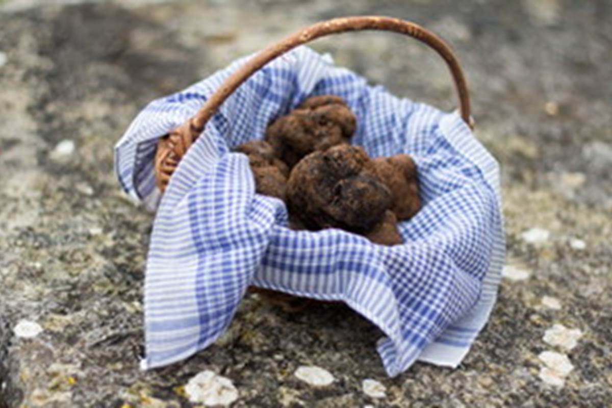 panier de truffes