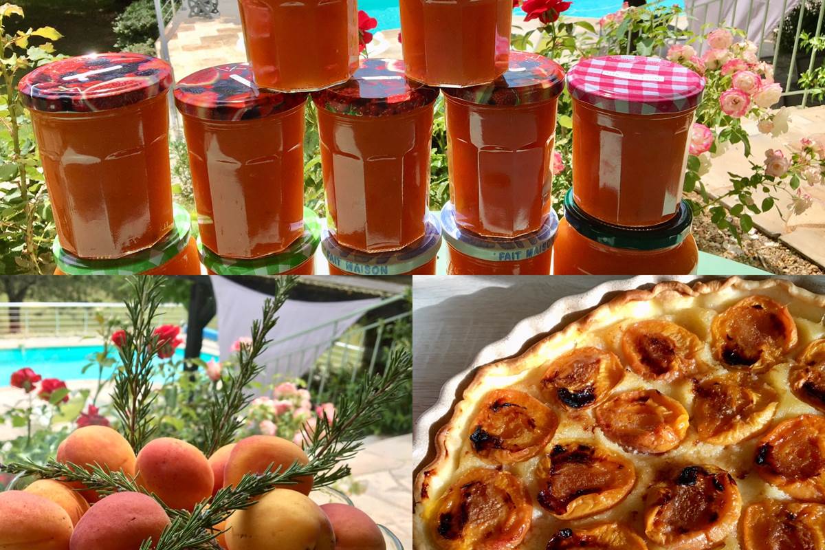 abricots tarte et confitures bnb Feuillantines dordogne