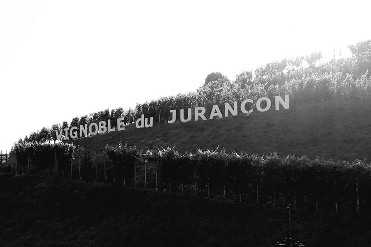 route-du-vignoble vineyards