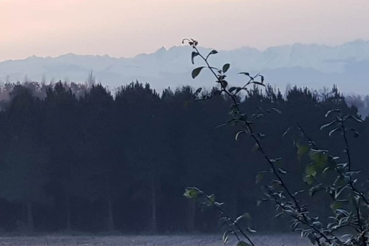 photos prises ce matin d'une des Terrasses deChambres d'hôtes et gîte Hias