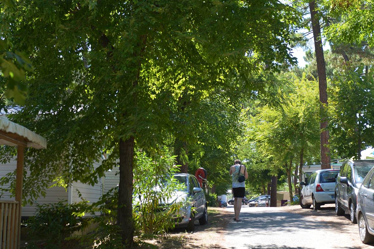Camping ombragé - Camping Les Pins d'Oléron