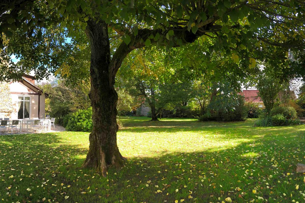 Le Clos Saint Lubin - Le parc
