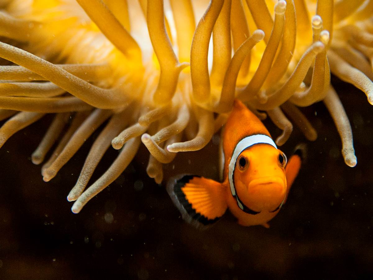 Aquarium Limoges ©hauteviennetourisme