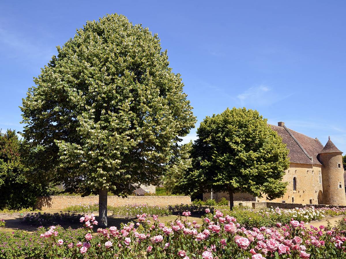 Asnières-sur-Vègre
