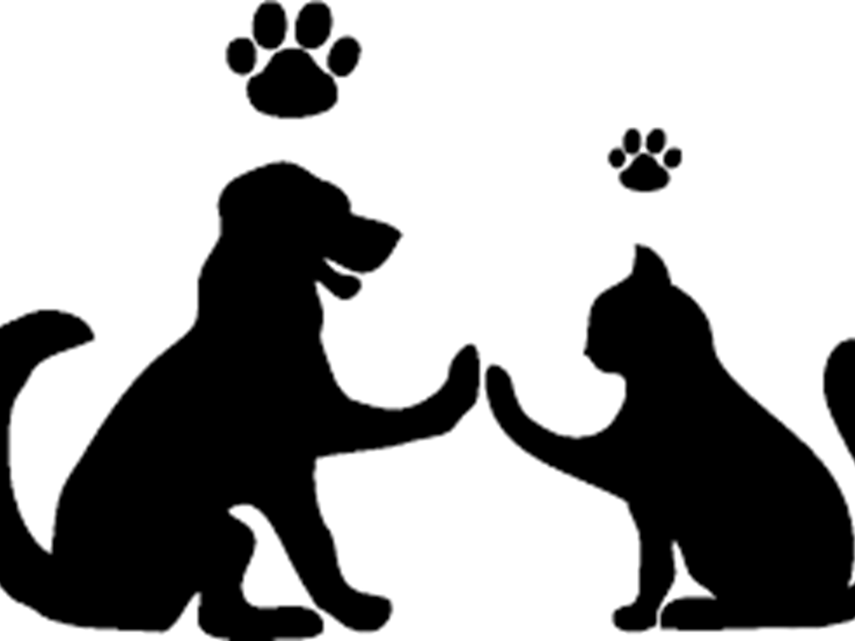 Animaux