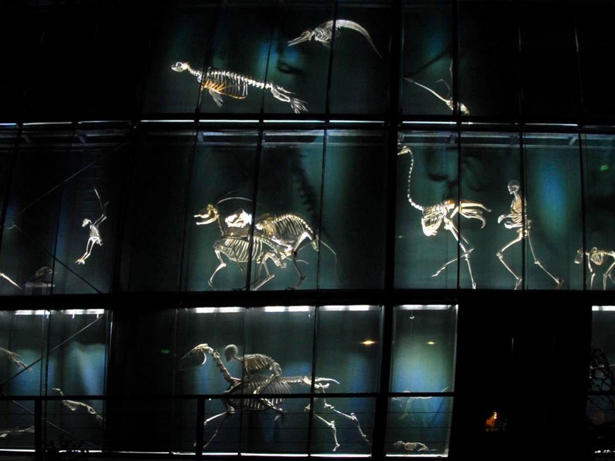 r-2008-05-21-02-0043-02---museum-de-toulouse---f.-ripoll