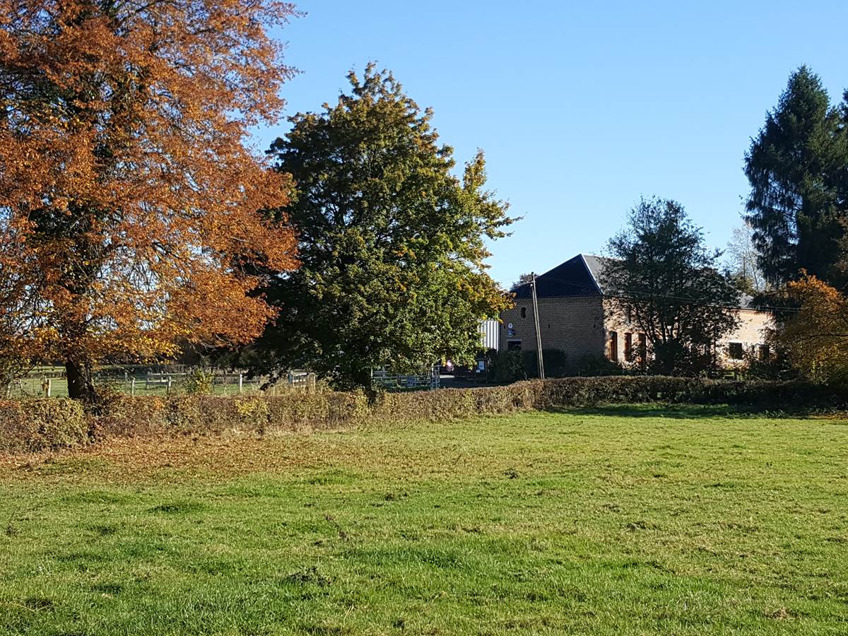 Les Mout'ânes - ST HILAIRE SUR HELPE - FRANCE