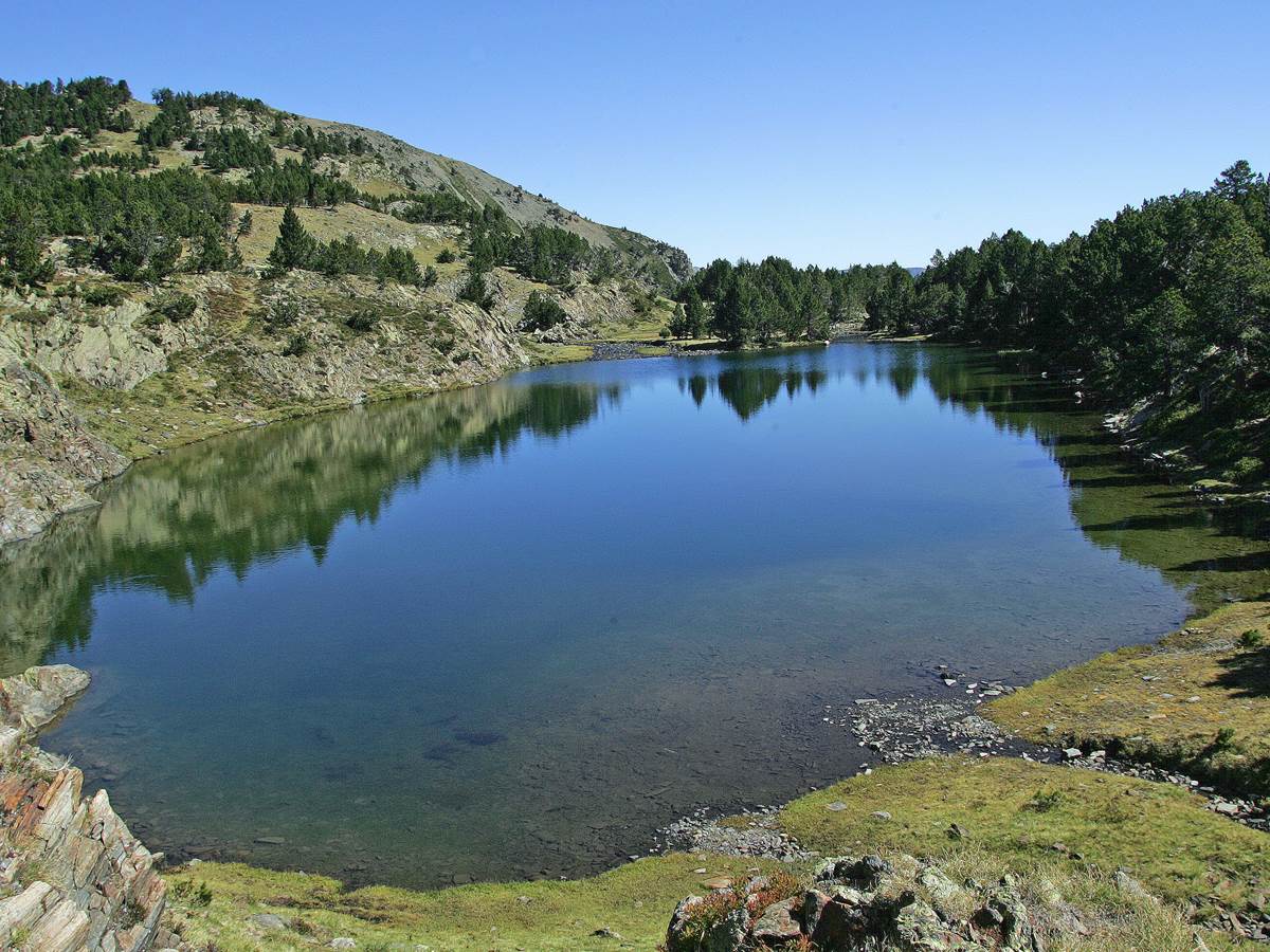 Lacs (62)