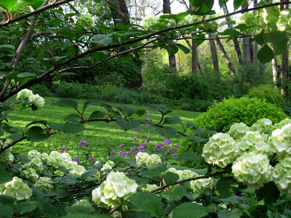 Jardin de Liliane