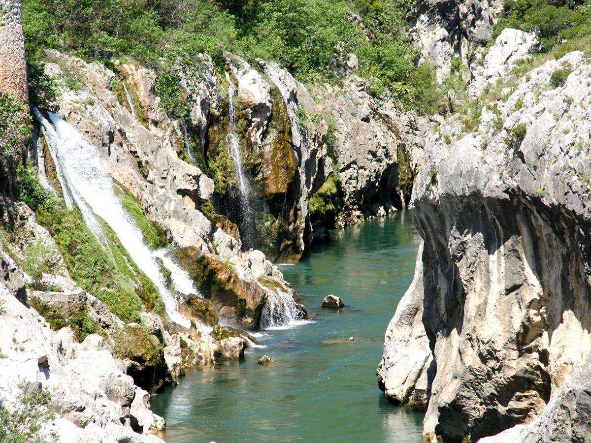 Rivière dans le Parc National des Cévennes